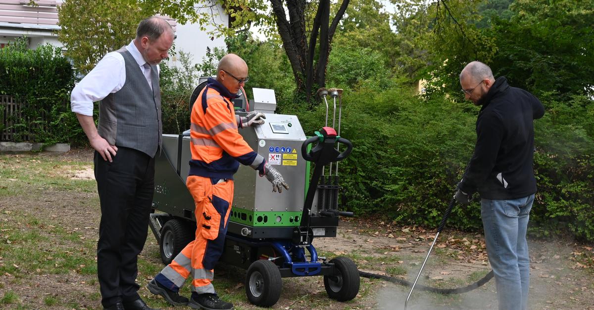 Steam against ants: Hope for containment in Meerholz